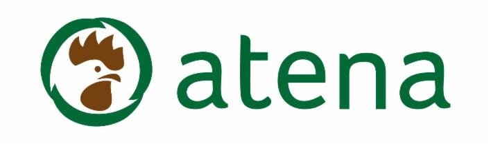 ATENA